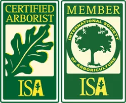 North Georgia Arbor is a certified Arborist